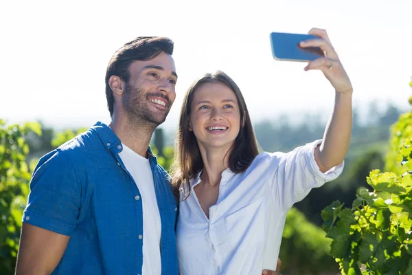 Młoda para biorąc selfie w winnicy — Zdjęcie stockowe