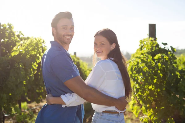 Lächelndes Paar umarmt sich am Weinberg — Stockfoto