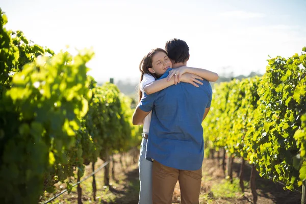 Paar knuffelen temidden van planten op wijngaard — Stockfoto