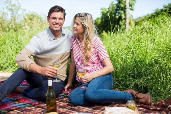 Couple holding wineglasses on picnic blanket — Stock Photo, Image
