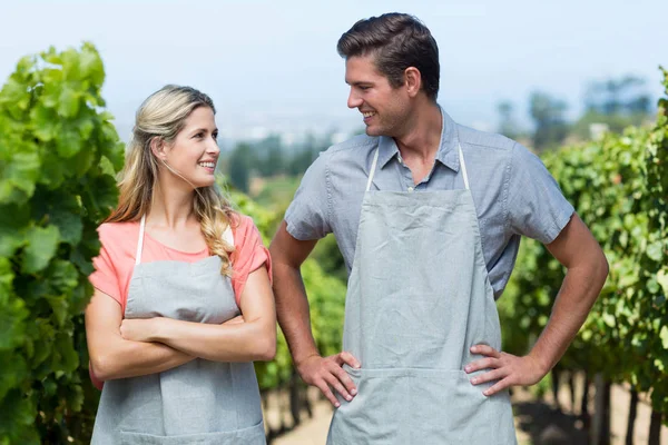 Sonriente pareja de pie en el viñedo — Foto de Stock