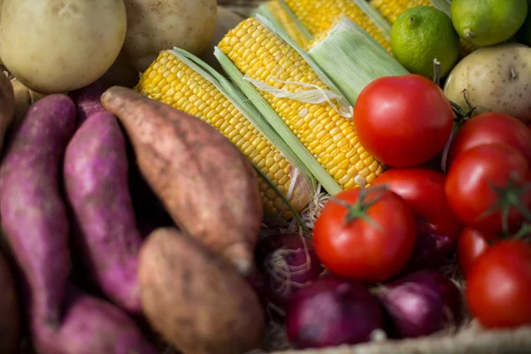 Tiro de marco completo de verduras — Foto de Stock