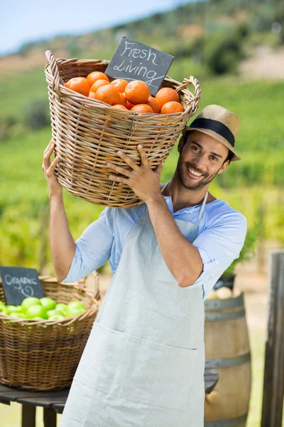 Фермер, перевозящий свежие апельсины в контейнере — стоковое фото