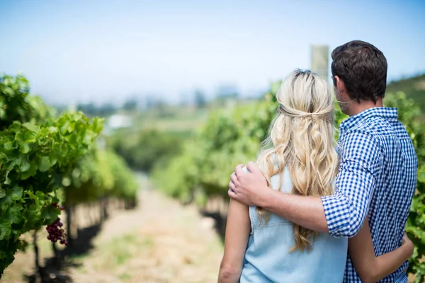 Paar umarmt sich am Weinberg — Stockfoto