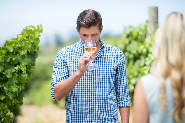 Young man drinking white wine — Stock Photo, Image