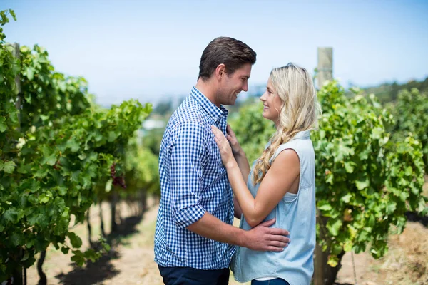 Couple looking at each other in vineyard — Stock Photo, Image