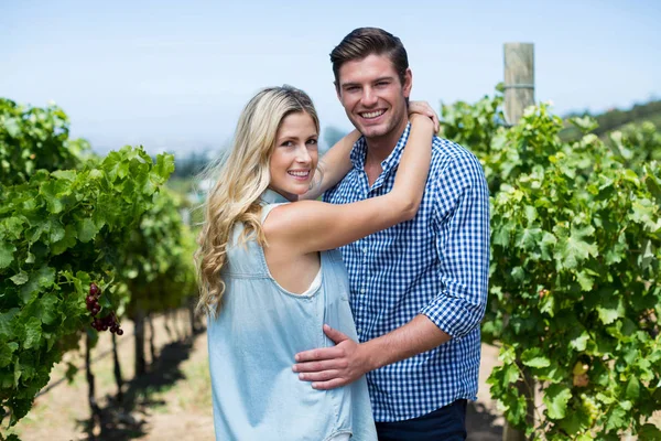 Молодая пара, обнимающая виноградник — стоковое фото
