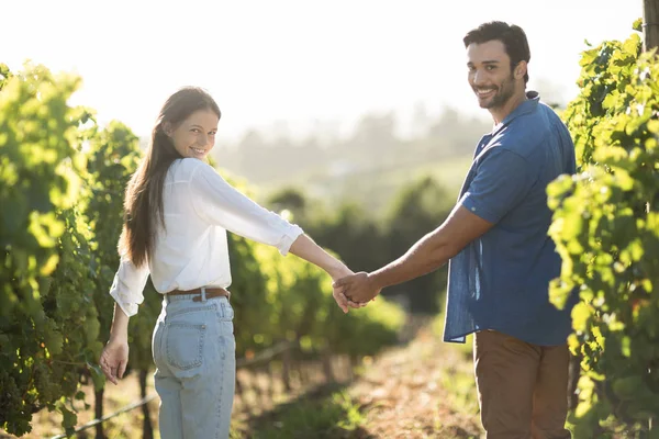 Pareja cogida de la mano en el viñedo — Foto de Stock