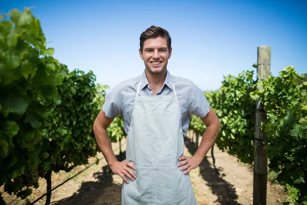 Retrato do agricultor na vinha — Fotografia de Stock