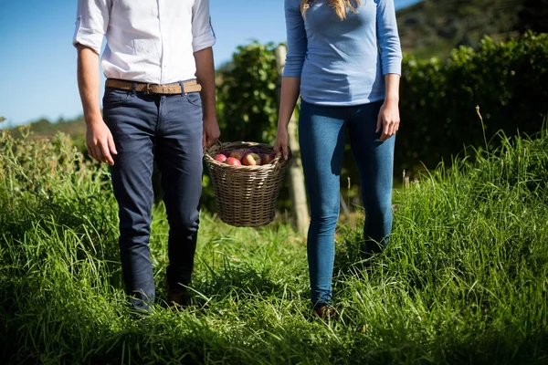 Para prowadzących owoce w wiklinowym koszu — Zdjęcie stockowe