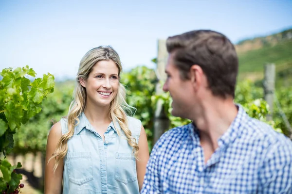 Woman looking at man in vineyard — Stock Photo, Image
