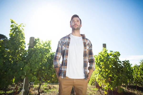 Продуманий молодий чоловік стоїть на винограднику — стокове фото