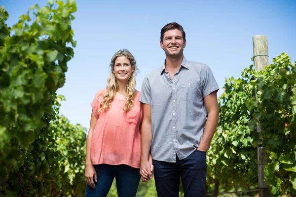 Couple holding hands at vineyard — Stock Photo, Image