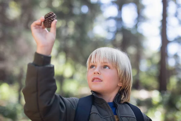 Little boy looking at pine cone in forest — Stock Photo, Image