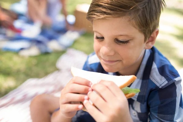 Fiú, miután szendvics a piknik park — Stock Fotó