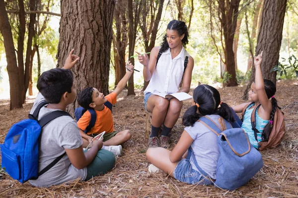Professor explicando alunos sentados na floresta — Fotografia de Stock
