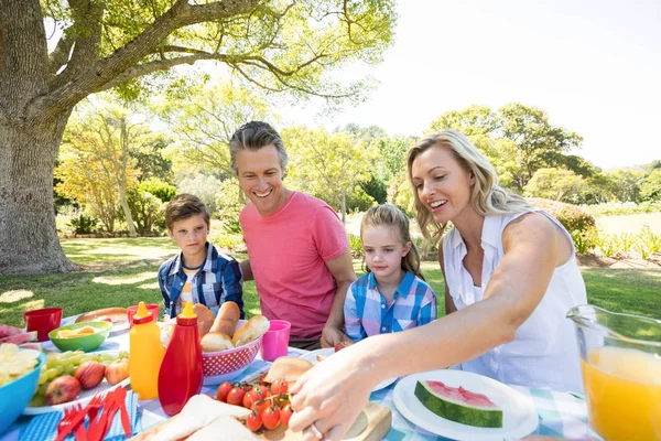 Gelukkige familie maaltijd met in park — Stockfoto