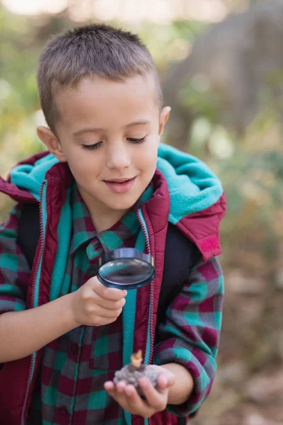 Menino explorando pedra enquanto caminha na floresta — Fotografia de Stock