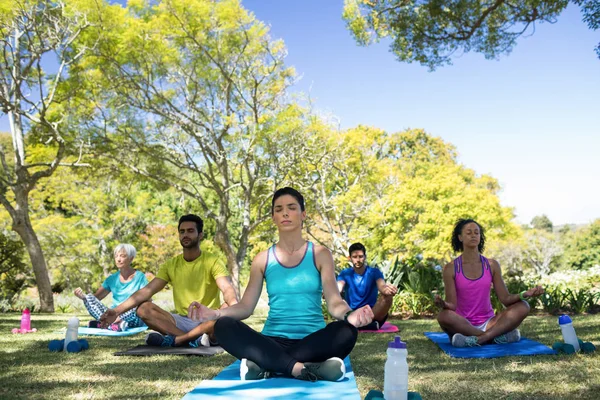 Grupo de personas que realizan yoga — Foto de Stock
