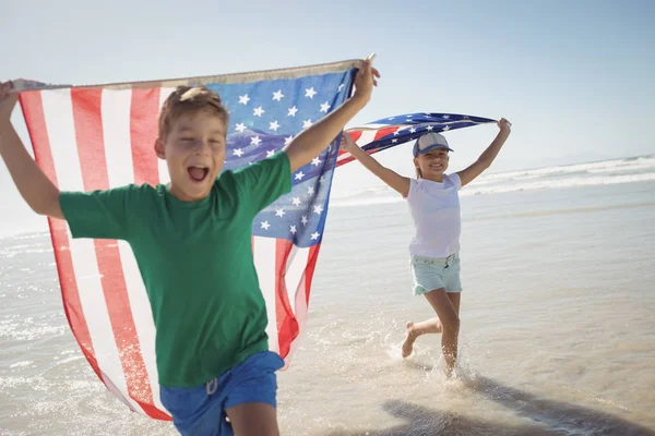 Amerikan bayrakları tutan kardeşler — Stok fotoğraf