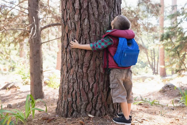 Ragazzo abbracciando albero nella foresta — Foto Stock