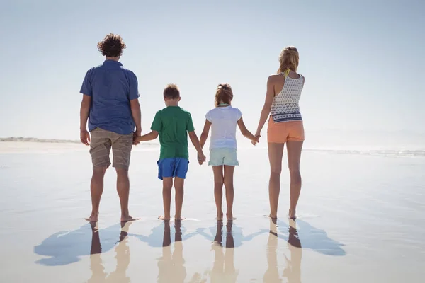 Familie hand in hand terwijl staande op de oever — Stockfoto