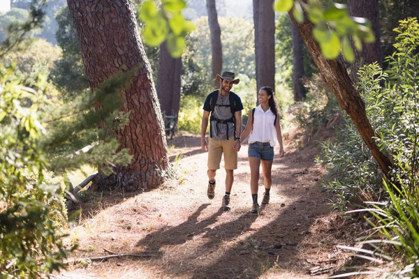 Casal caminhadas na trilha na floresta — Fotografia de Stock