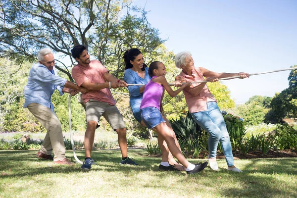 Famiglia che gioca tiro alla fune nel parco — Foto Stock