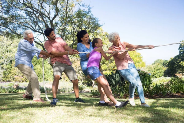 Familia jugando tirón de la guerra en el parque — Foto de Stock