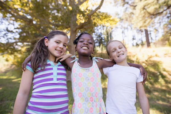 Chicas sonrientes de pie en el bosque en un día soleado — Foto de Stock