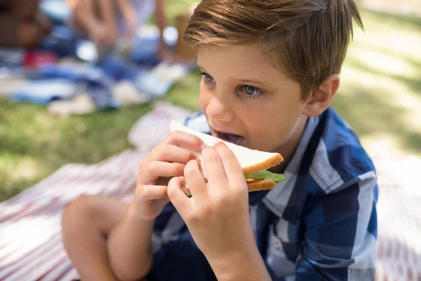 Çocuk sahip sandviç Park piknik içinde — Stok fotoğraf