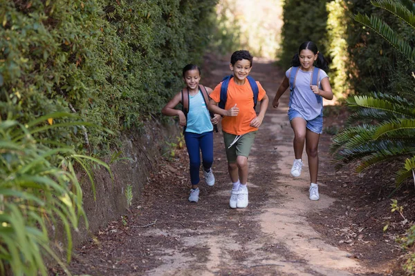 Amigos corriendo en el campo en el parque natural —  Fotos de Stock