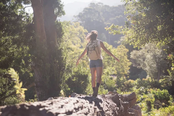 Escursionista donna che cammina sul tronco nella foresta — Foto Stock