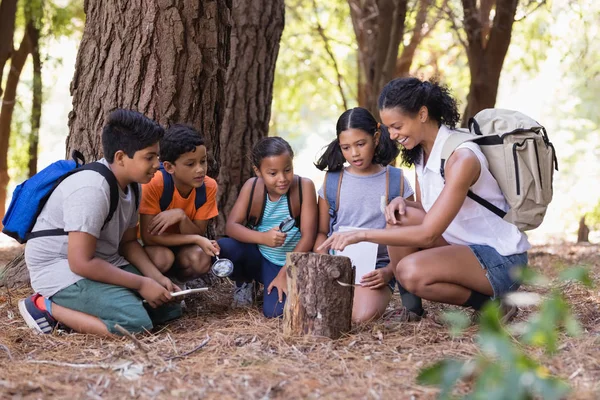 Students and teacher examining tree stump — Stock Photo, Image