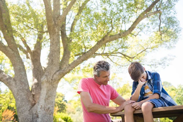 Far tröstar sin son på picknick i parken — Stockfoto