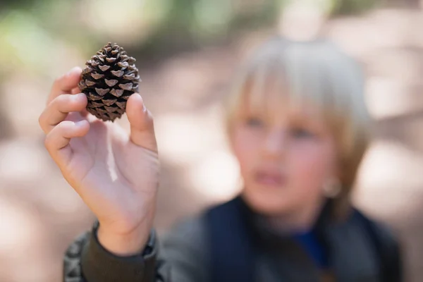 Menino segurando pinho cone na floresta — Fotografia de Stock