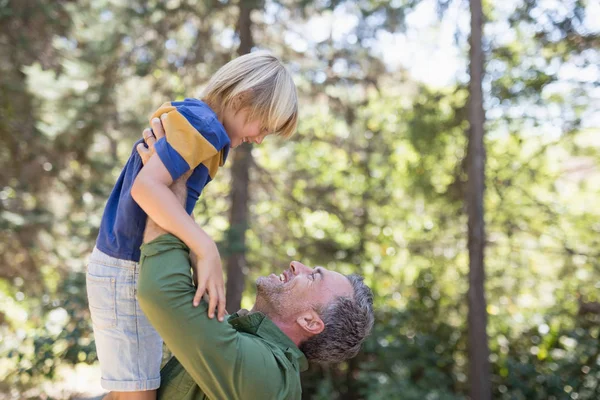 Tată jucăuș ridicând fiul în pădure — Fotografie, imagine de stoc