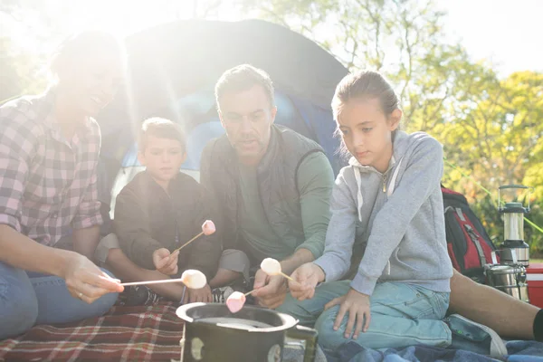 焙煎マシュマロ テントの外の家族 — ストック写真