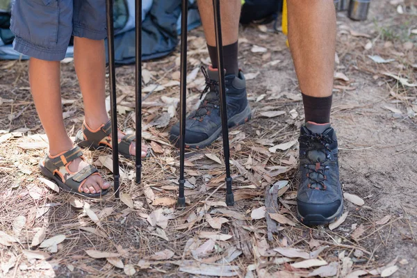 Padre e figlio con bastoni da trekking nella foresta — Foto Stock