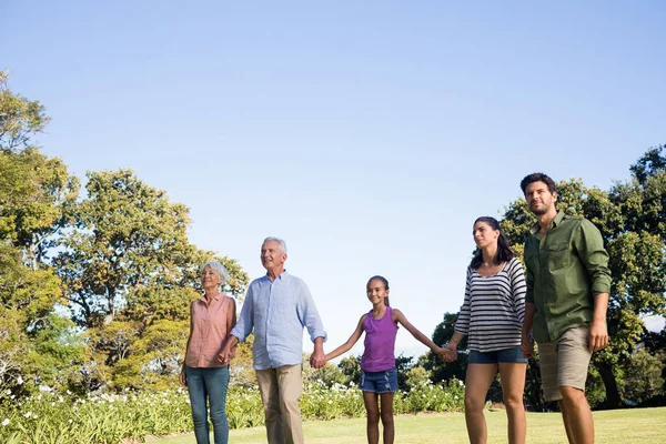 Familie hand in hand in het park — Stockfoto