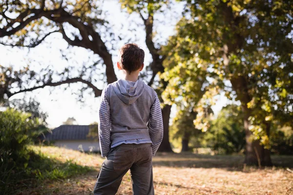 Little boy standing in forest — Stock Photo, Image