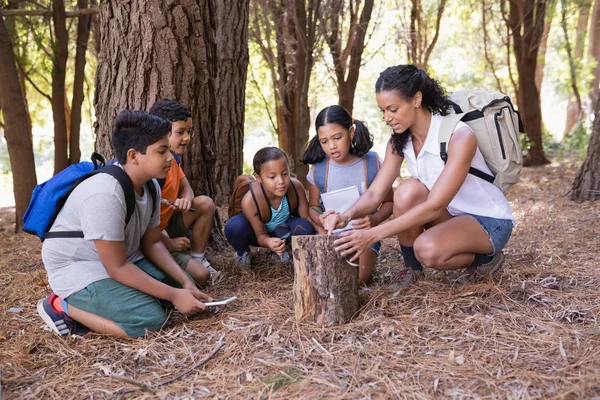 Leerkracht en kinderen onderzoeken boomstronk — Stockfoto
