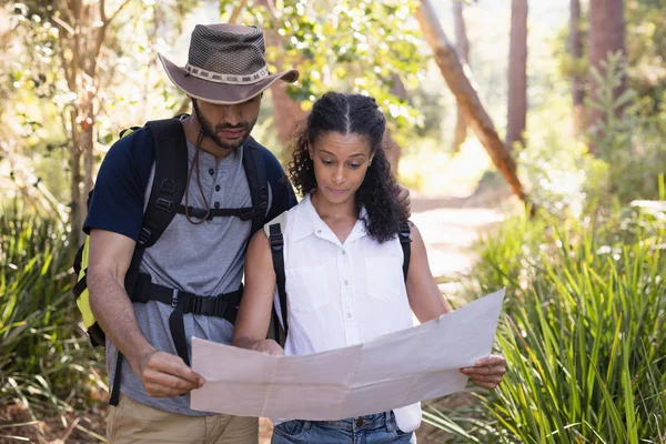 Couple reading map in forest — Stock Photo, Image