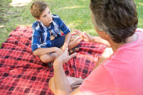 Отец разговаривает с сыном на пикнике в парке — стоковое фото
