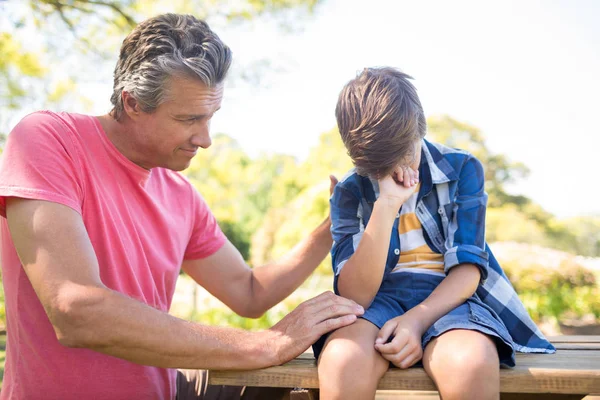 父亲安慰他的儿子在公园里野餐 — 图库照片