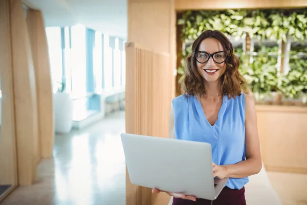 Lachende uitvoerend met behulp van laptop — Stockfoto