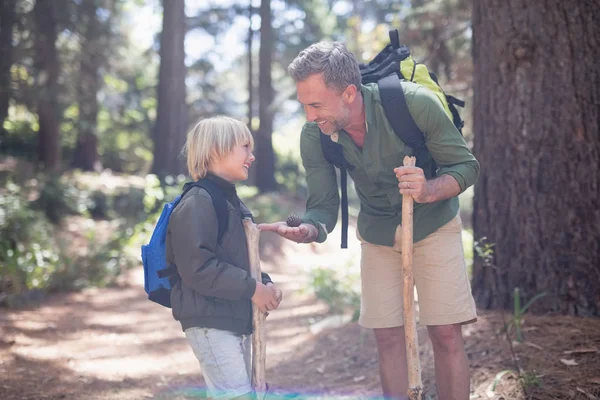 Père montrant cône de pin à fils pendant la randonnée — Photo