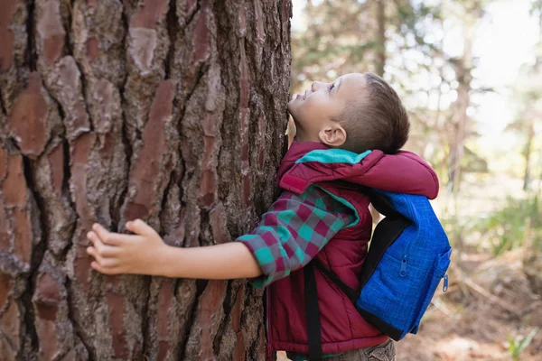 Jongen omhelst boom in het bos — Stockfoto