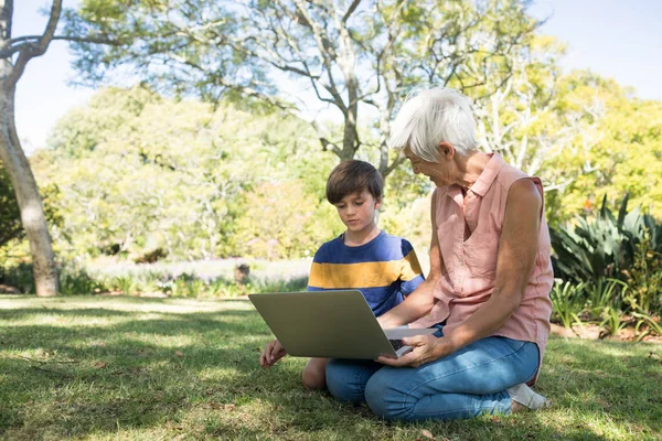 Grandmother and grandson using laptop — Stock Photo, Image