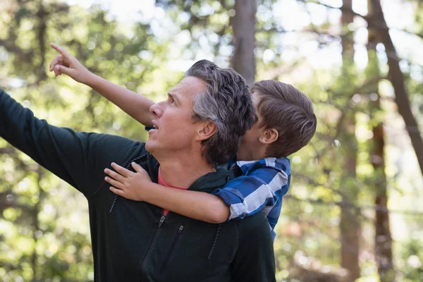 Padre e hijo señalando en el bosque —  Fotos de Stock